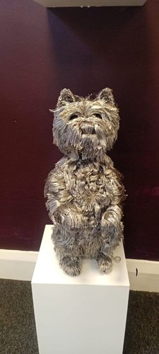 West highland terrier dog - terrier,