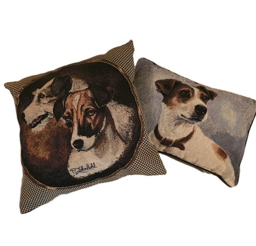 Jack russell terrier dog - jack,