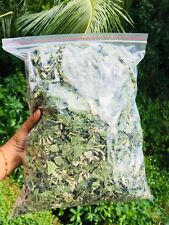 Calea Zacatechichi Mexican