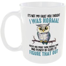 IT'S NOT MY FAULT YOU THOUGHT I WAS NORMAL MUG FUNNY OWL GIFT CUP ANIMAL LOVER