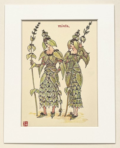Mint herb walter crane - -,