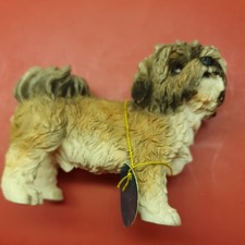 Leonardo Dog Studies Small