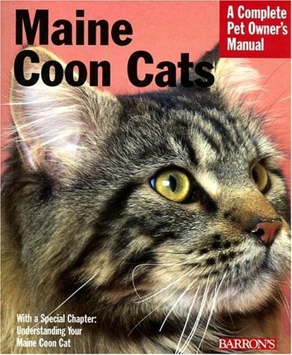 Maine coon cats complete - maine, (complete
