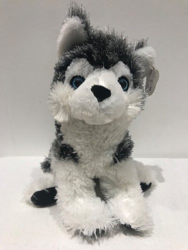 Husky malamute dog soft - malamute,