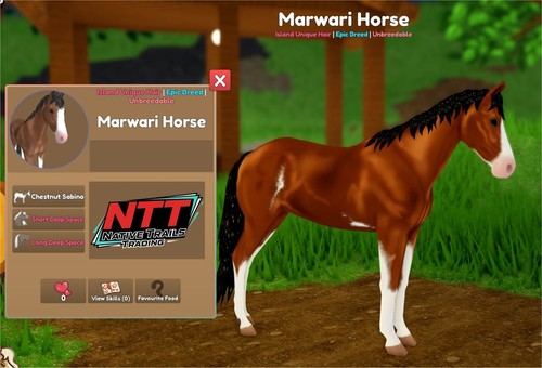 Wild horse islands chestnut - -,