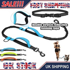 Hands Free Dog Lead - Waist
