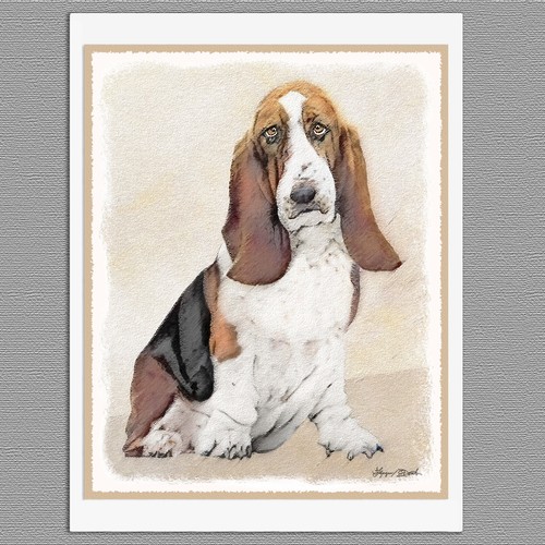 Basset hound dog - 6,