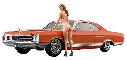 Hasegawa 1966 american - 1/24,