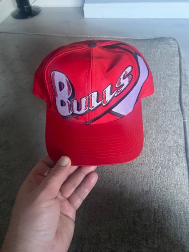 Chicago bulls big logo - chicago,
