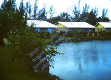 1966 35mm Slide Lakeside