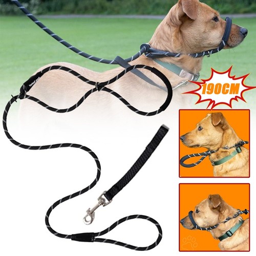Anti pull figure dog lead - anti,