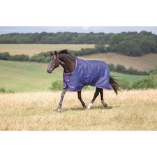 Shires Tempest Original 100