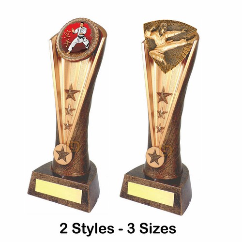 Martial arts trophy karate - arts, trophy,