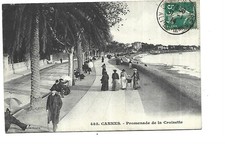 06 Cannes Drive Of La Croisette