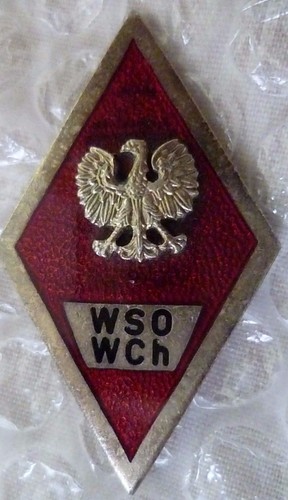Badge poland polish military - polish,