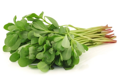 Purslane green 2500 seeds - green,