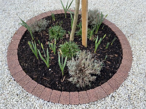 120 tree flower surround - 120, cm