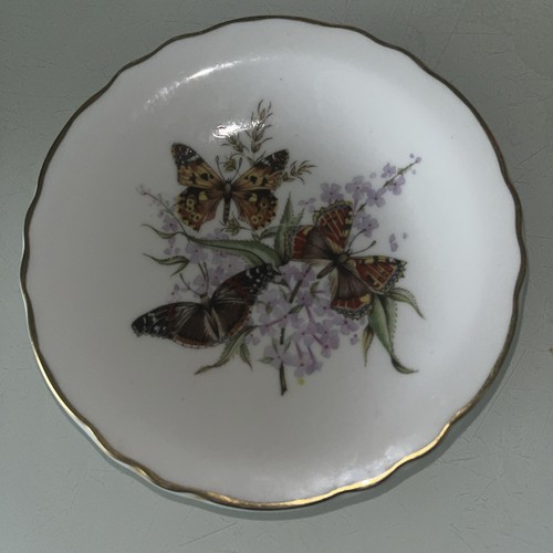 Royal grafton collector plate - royal,
