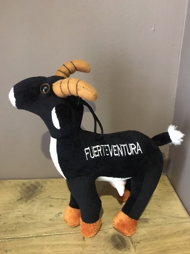 Fuerteventura souvenir black - fuerteventura,