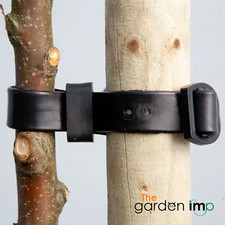 Buckle Tree Ties Rubber Strap Adjustable Strong Stake Post Plant Support Quality