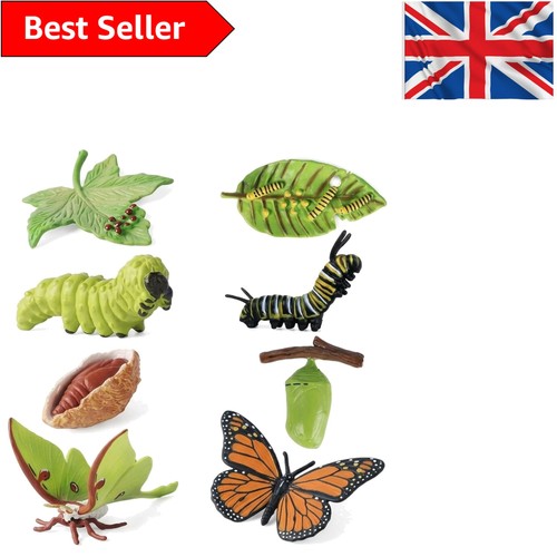 Realistic butterfly life cycle - butterfly,