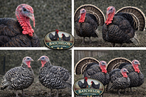 Bronze heritage cross turkey - cross,