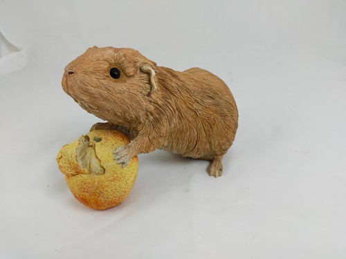Sherratt simpson guinea pig - &,