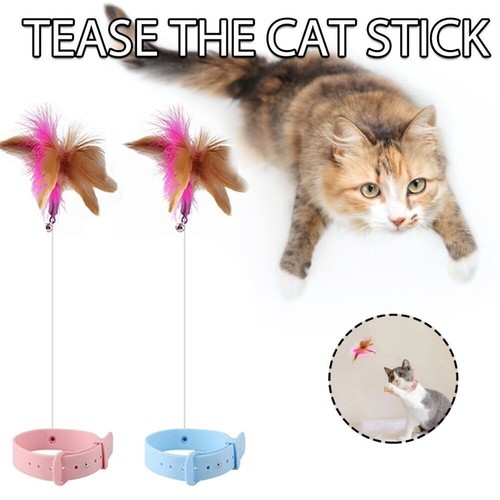With bell cat feather - bell,