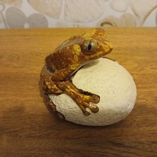 Contemporary Ceramic Frog