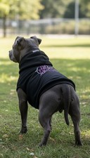 Petements Designer Dog Hoodie