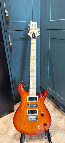 Prs swamp ash special - swamp,