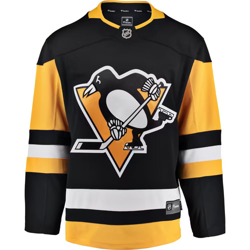 Pittsburgh penguins nhl ice - pittsburgh,