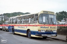 Coach photo midland bluebird - coach,