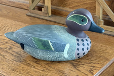 Illinois Green-winged Teal