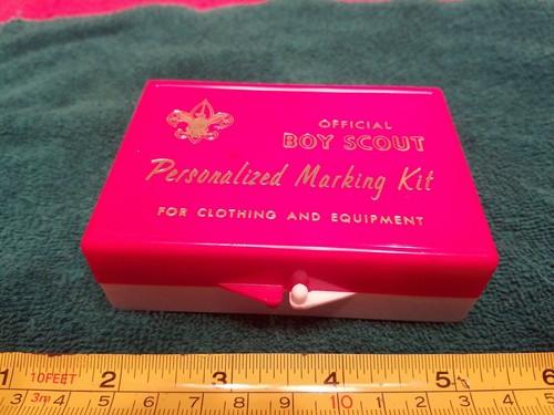 Official boy scout - boy,
