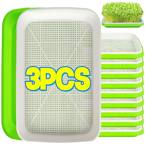 Microgreens seed seedling - microgreens, tray
