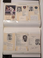 Group Of Nine Cricket