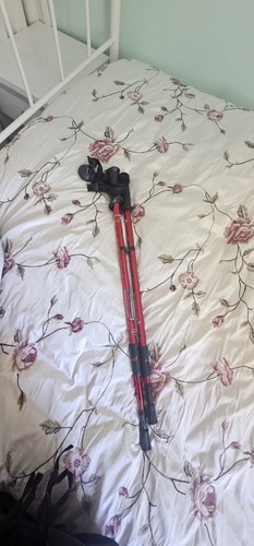 Pair hiking walking poles - walking,
