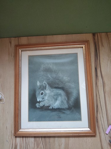 Sue willis squirrel - squirrel, print