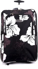 Frenzy 21 " Collapsible
