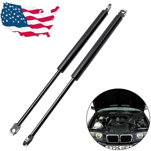 Hoods gas shock struts lift - shock,