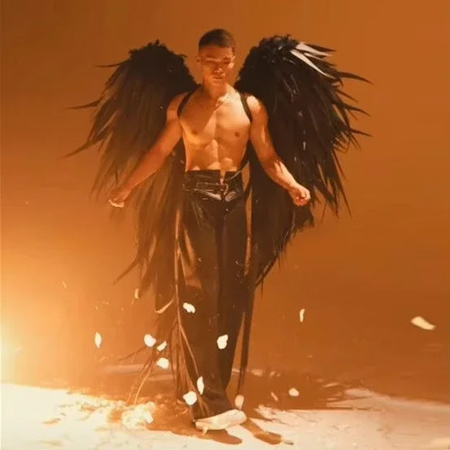 Large black angel wings photo - angel,