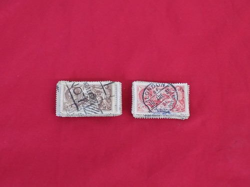 George seahorses inc - gb, v