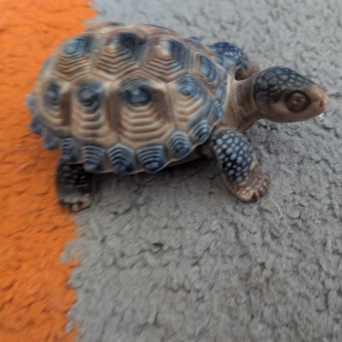 Vintage wade porcelain turtle - vintage,