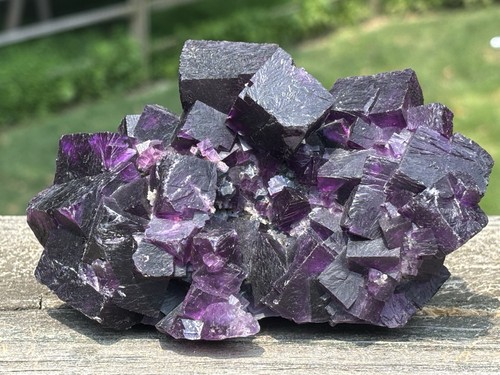 667 gms fluorite crystal - 667.9,
