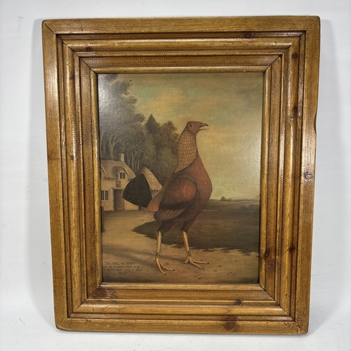 Cockeral print framed - print, fighting