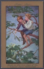 High in the tree-tops of the