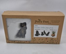 Potty Feet Border Collie