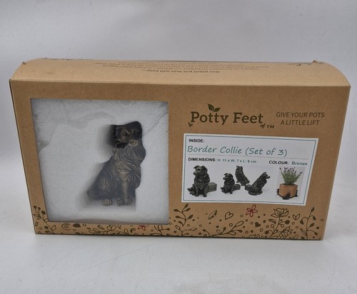 Potty feet border collie - potty,
