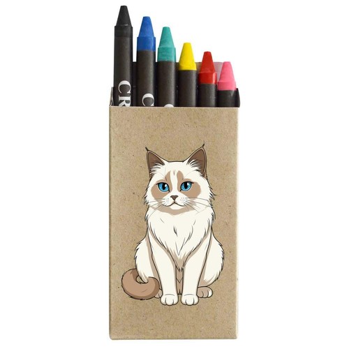 Birman cat coloured - x, cat'
